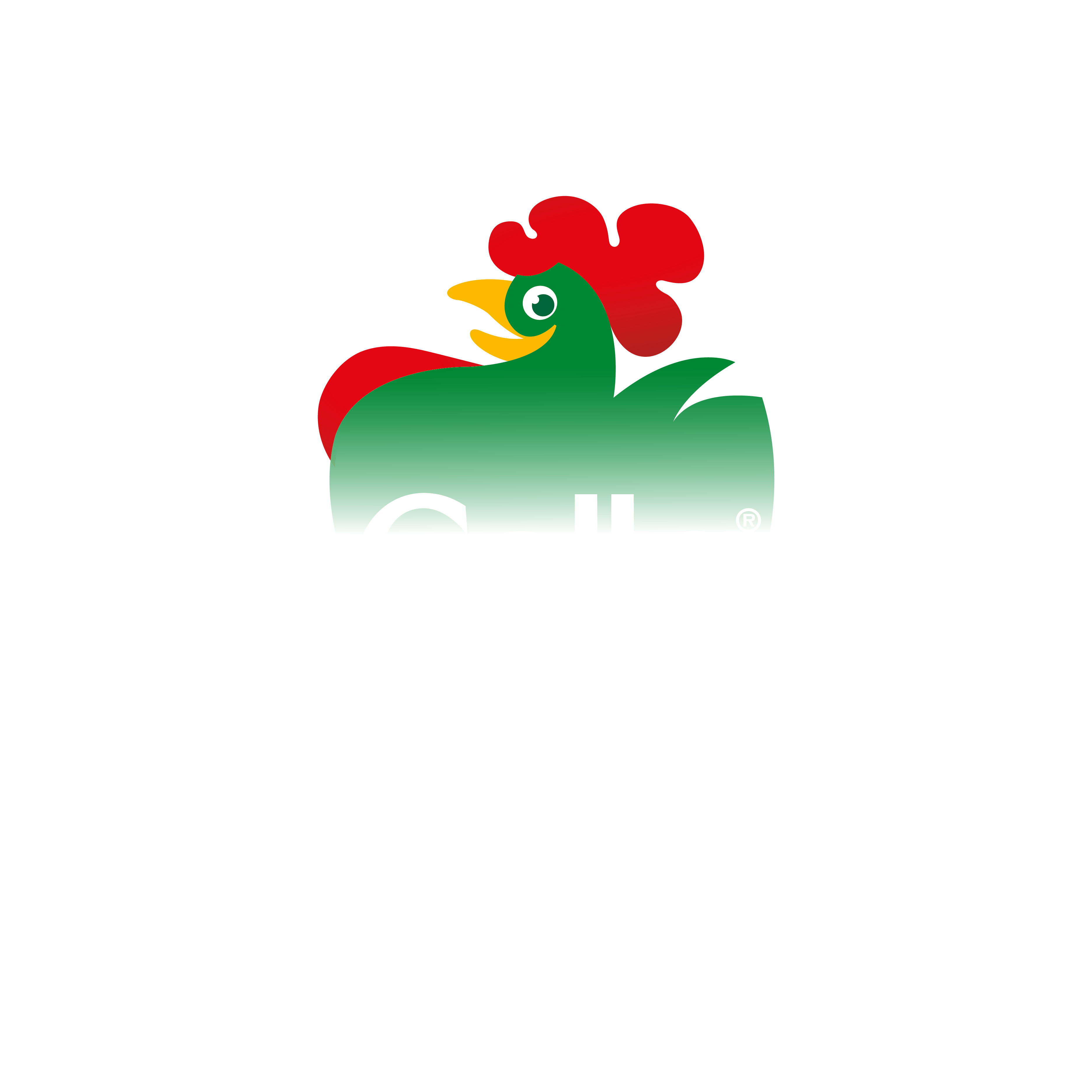 Logo Gallo NO scratch white wordmark